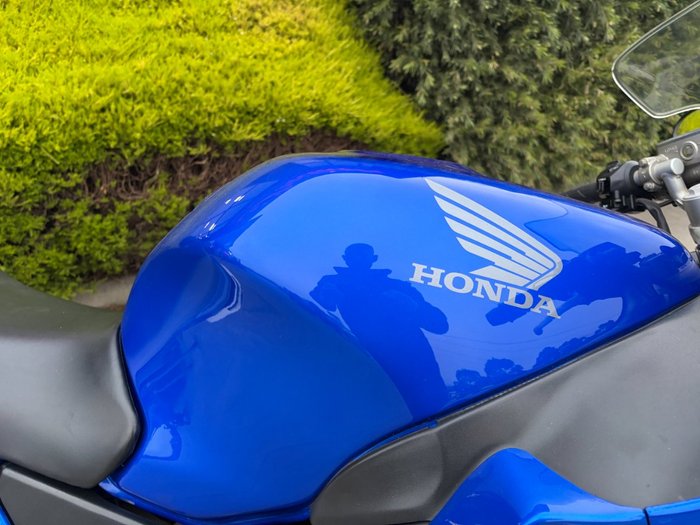 2005 Honda CBR1100XX (SUPER BLACKBIRD) Blue