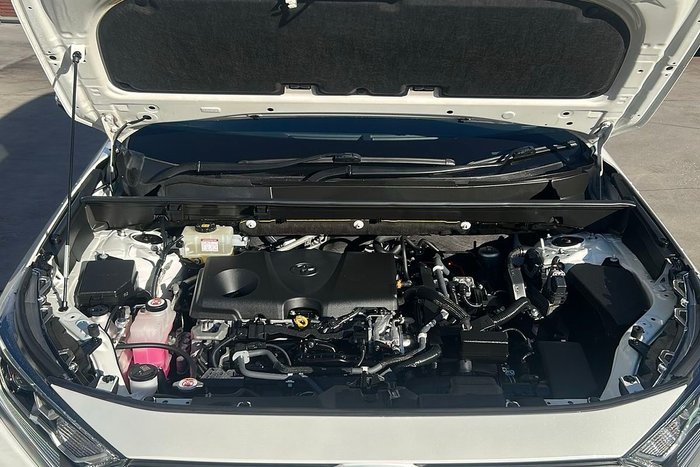 2019 Toyota RAV4 Cruiser