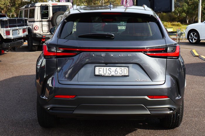 2022 Lexus NX 250
