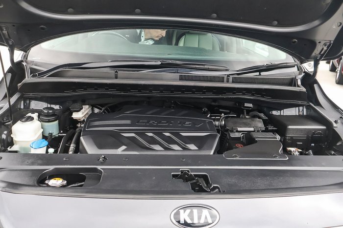 2019 Kia Carnival Platinum