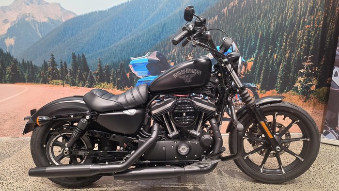 Harley-Davidson Iron 883 (XL883N) Sportster
