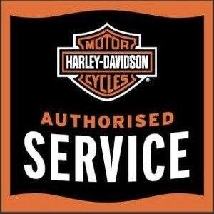 2017 Harley-Davidson Iron 883 (XL883N)