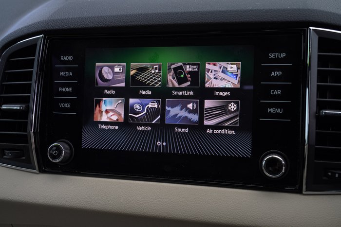 2019 SKODA Karoq 110TSI