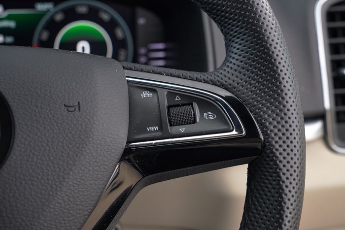 2019 SKODA Karoq 110TSI