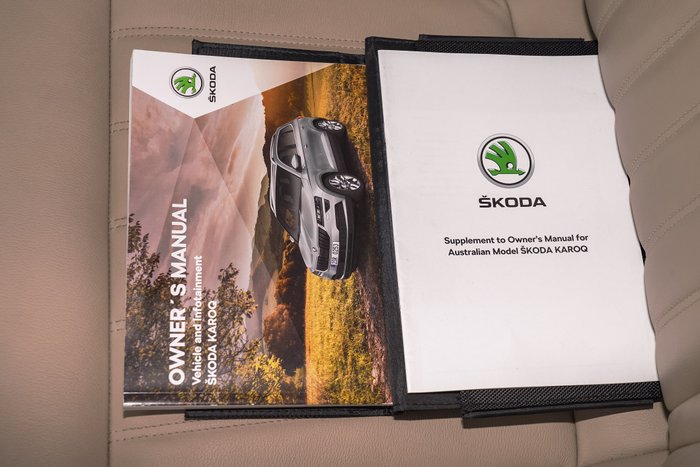 2019 SKODA Karoq 110TSI