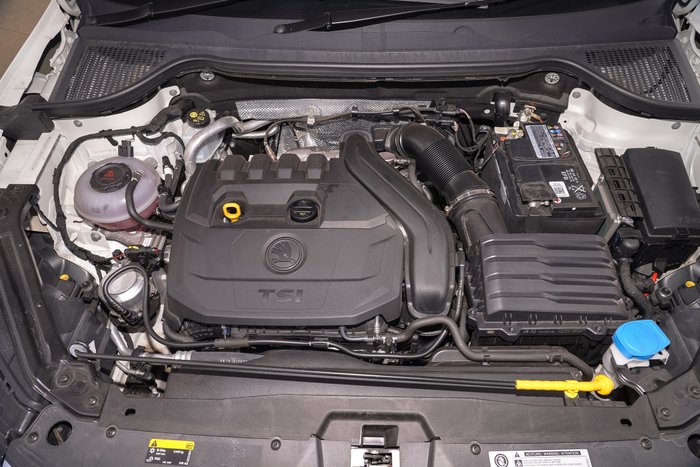2019 SKODA Karoq 110TSI