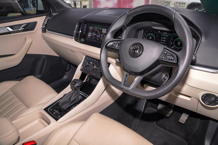 2019 SKODA Karoq 110TSI