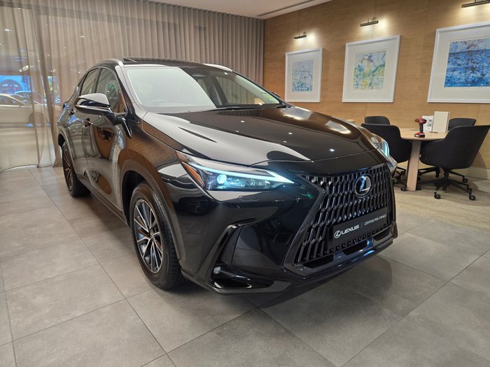 2025 Lexus NX250