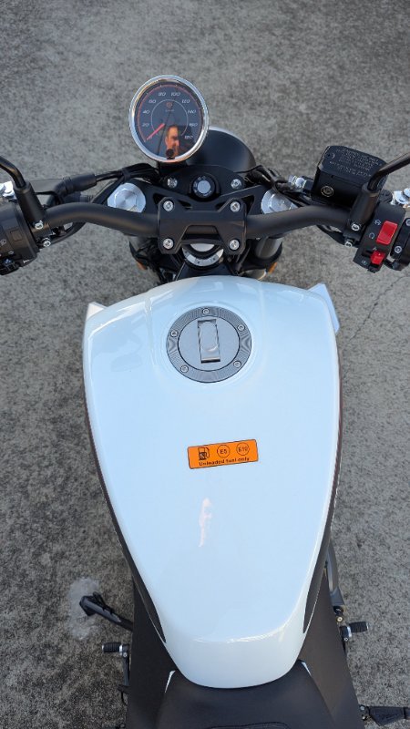 2024 HARLEY-DAVIDSON HD350-10 H-DX X350 White