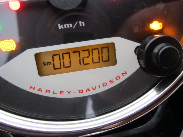 2021 HARLEY-DAVIDSON XG500 STREET 500 BLACK