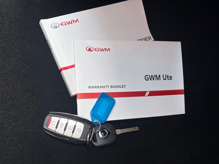 2021 GWM Ute Cannon-L