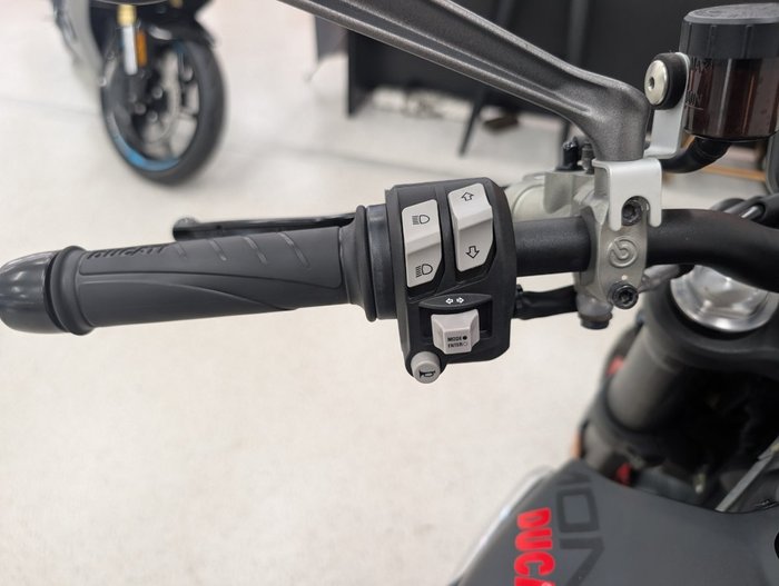 2022 DUCATI MONSTER grey