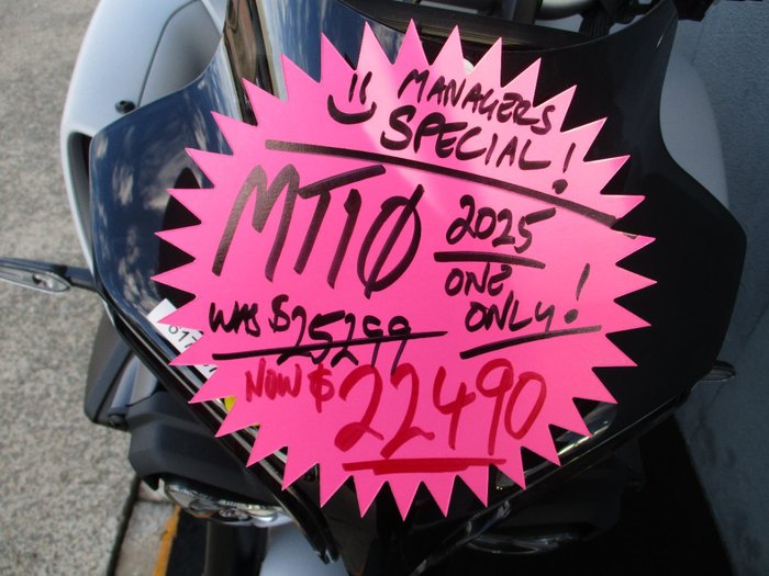 2025 Yamaha MT-10A GREY/ICE