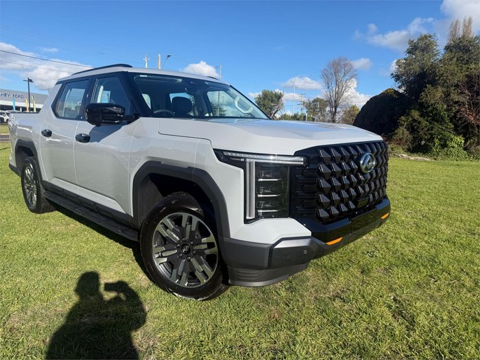 2025 LDV TERRON 9