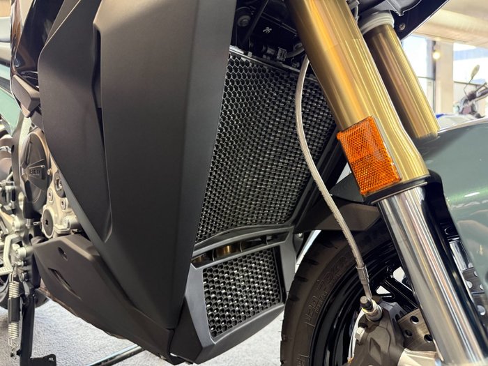 2026 BMW Motorrad S 1000 XR SPORT N4V Sage Green Metallic