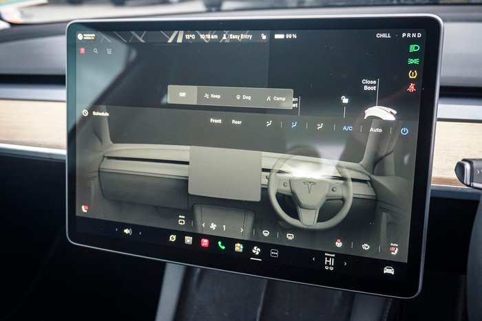 2022 Tesla Model 3 Rear-Wheel Drive