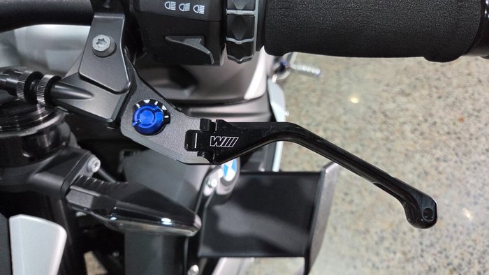2025 BMW Motorrad M 1000 R WHITE