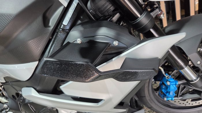 2025 BMW Motorrad M 1000 R WHITE