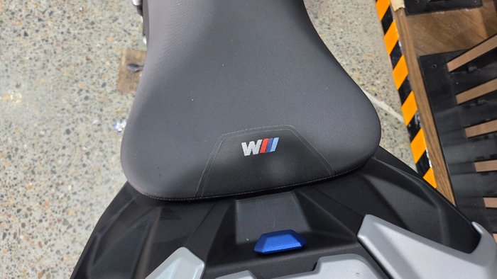 2025 BMW Motorrad M 1000 R WHITE