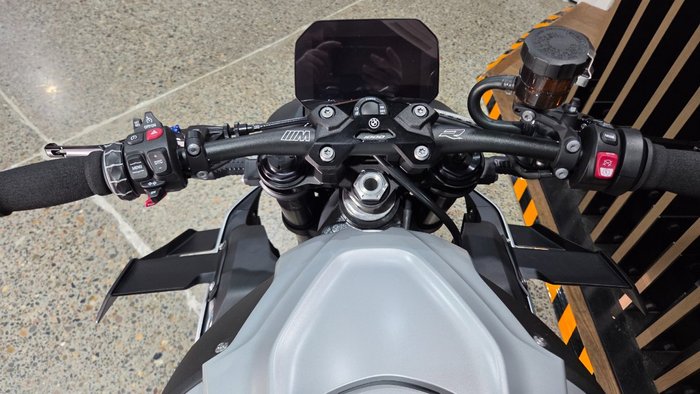 2025 BMW Motorrad M 1000 R WHITE
