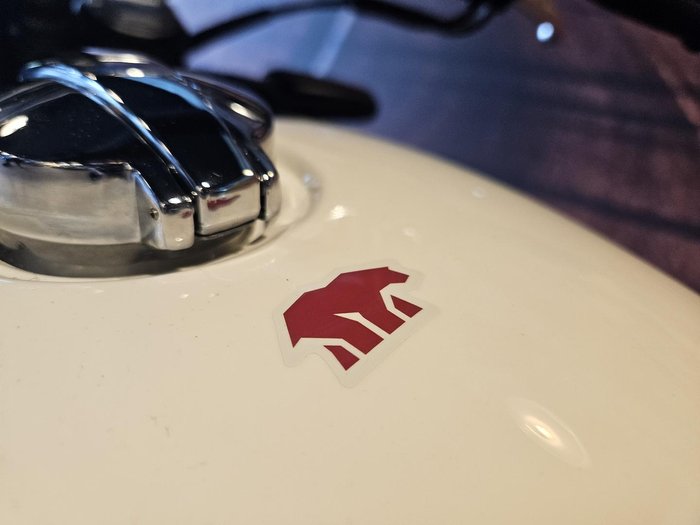 2025 Royal Enfield Bear 650 650 Twin White