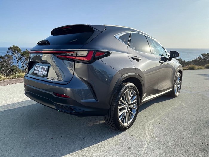 2023 Lexus NX NX350h Sports Luxury