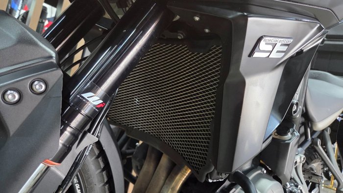 2020 Triumph TIGER 1200 XCa Beige