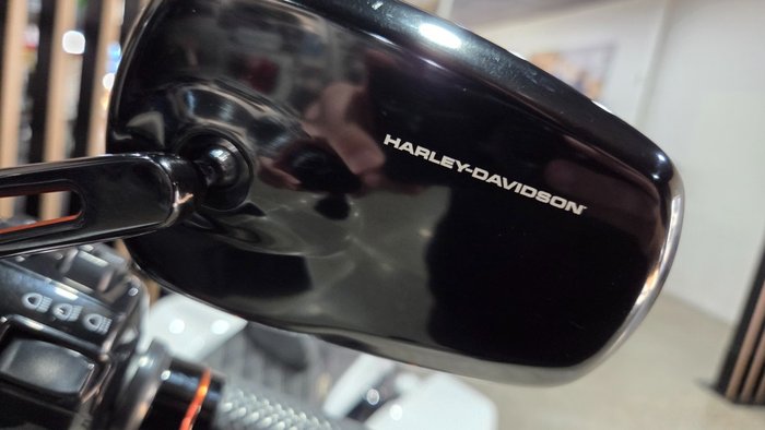 2024 Harley-Davidson FLHX STREET GLIDE (117) WHITE