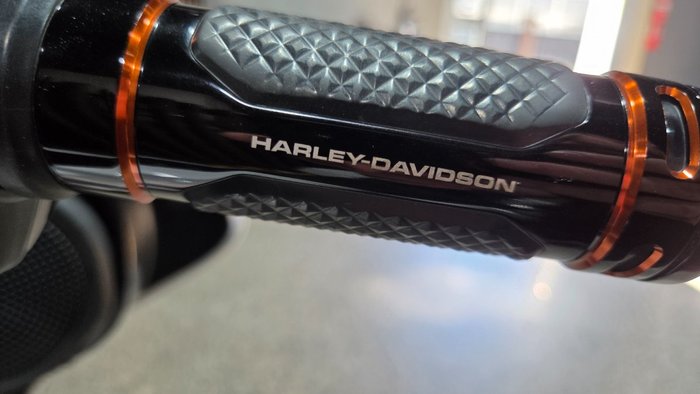 2024 Harley-Davidson FLHX STREET GLIDE (117) WHITE
