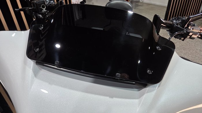 2024 Harley-Davidson FLHX STREET GLIDE (117) WHITE
