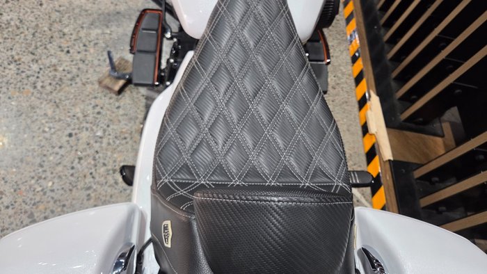 2024 Harley-Davidson FLHX STREET GLIDE (117) WHITE