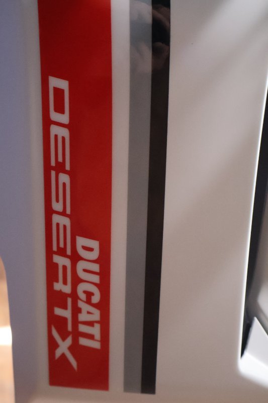 2025 Ducati DESERTX MATT STAR