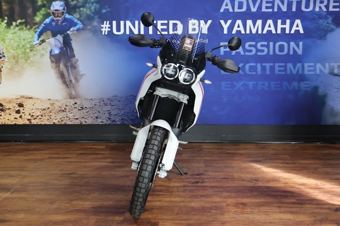 2025 Ducati DESERTX MATT STAR