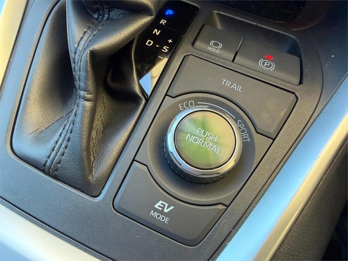 2019 Toyota RAV4 Cruiser