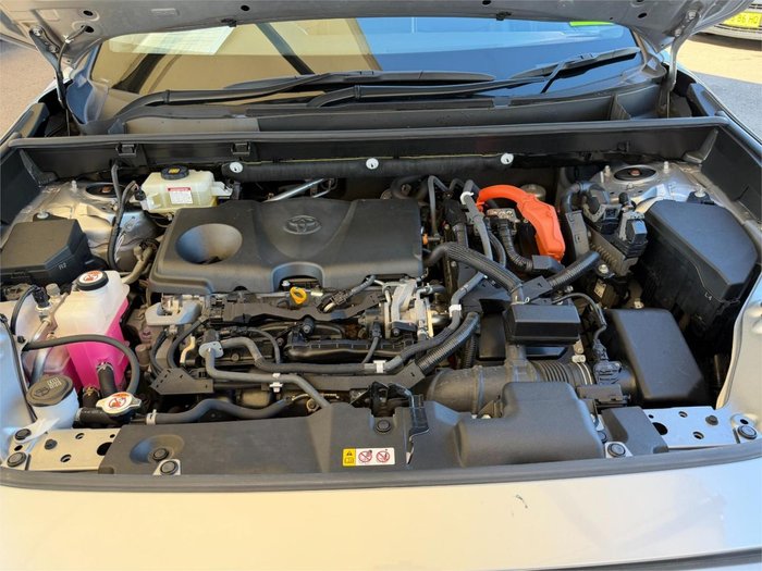 2019 Toyota RAV4 Cruiser
