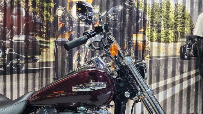 2007 Harley-Davidson Dyna Super Glide Custom 1584 (FXDC)