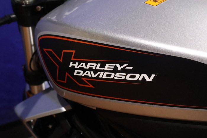 2024 HARLEY-DAVIDSON HD350-10 H-DX X350 Silver