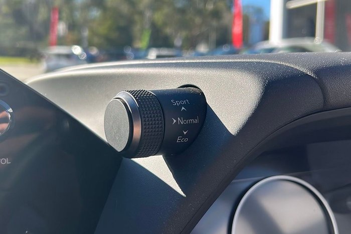 2022 Lexus UX UX250h Luxury