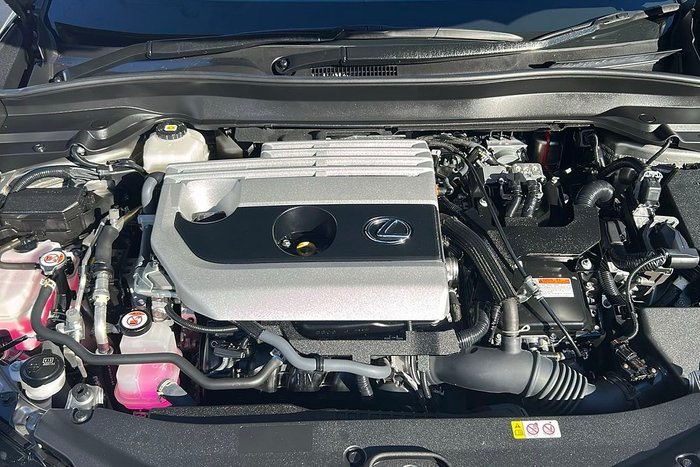 2022 Lexus UX UX250h Luxury