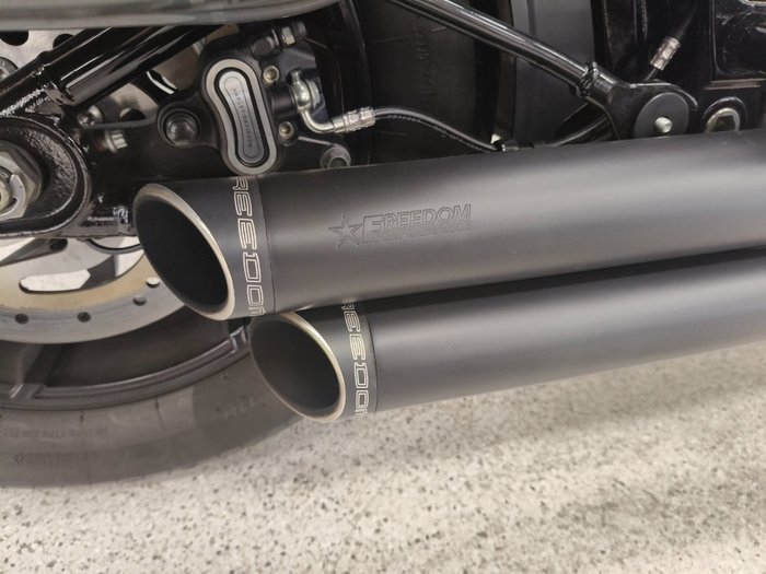 2021 Harley-davidson FLSB SPORT GLIDE grey