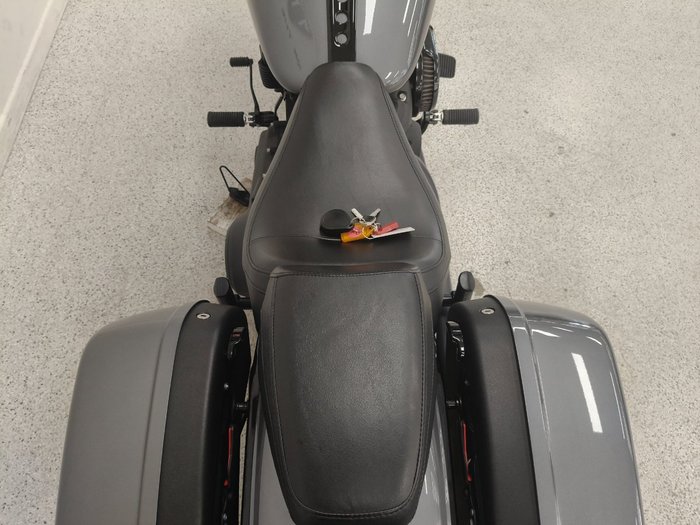 2021 Harley-davidson FLSB SPORT GLIDE grey