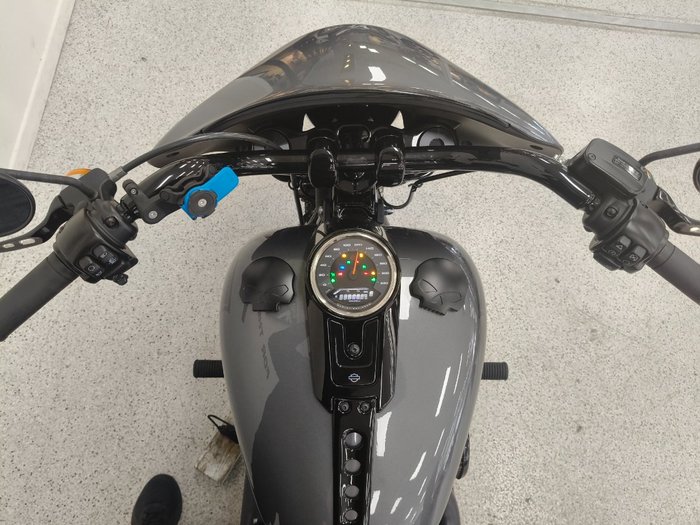 2021 Harley-davidson FLSB SPORT GLIDE grey