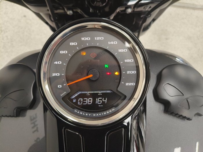2021 Harley-davidson FLSB SPORT GLIDE grey
