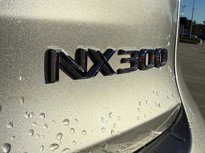 2021 Lexus NX 300 F Sport