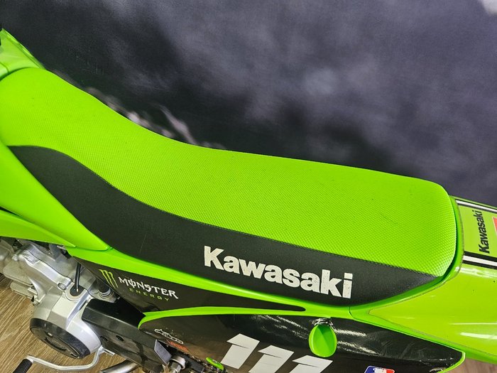 2022 Kawasaki KLX110RL GREEN