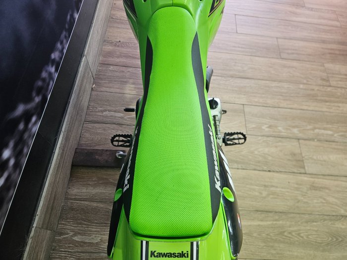 2022 Kawasaki KLX110RL GREEN