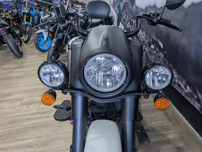 2019 INDIAN SPRINGFIELD DARK HORSE WHITE WHITE