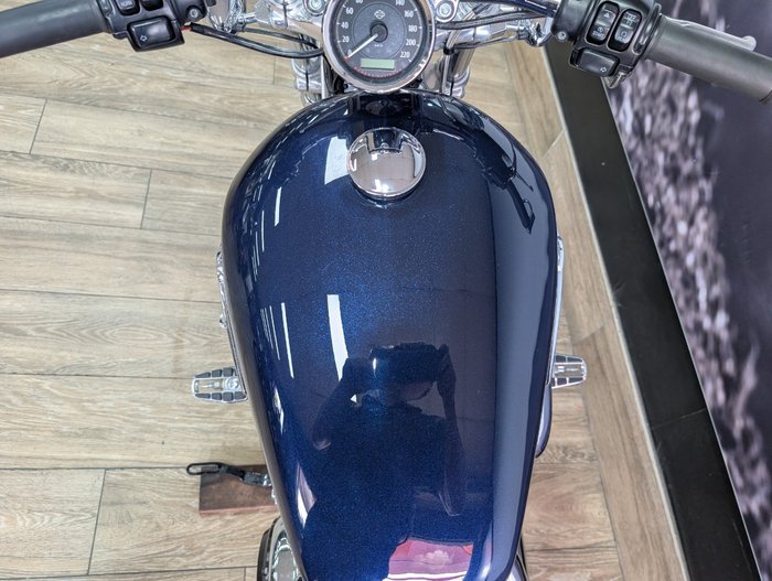2014 HARLEY-DAVIDSON XL1200C 1200 CUSTOM BLUE