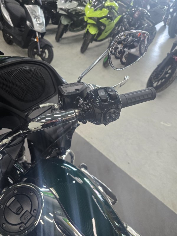 2024 Harley-davidson FLTRX ROAD GLIDE (117) Green