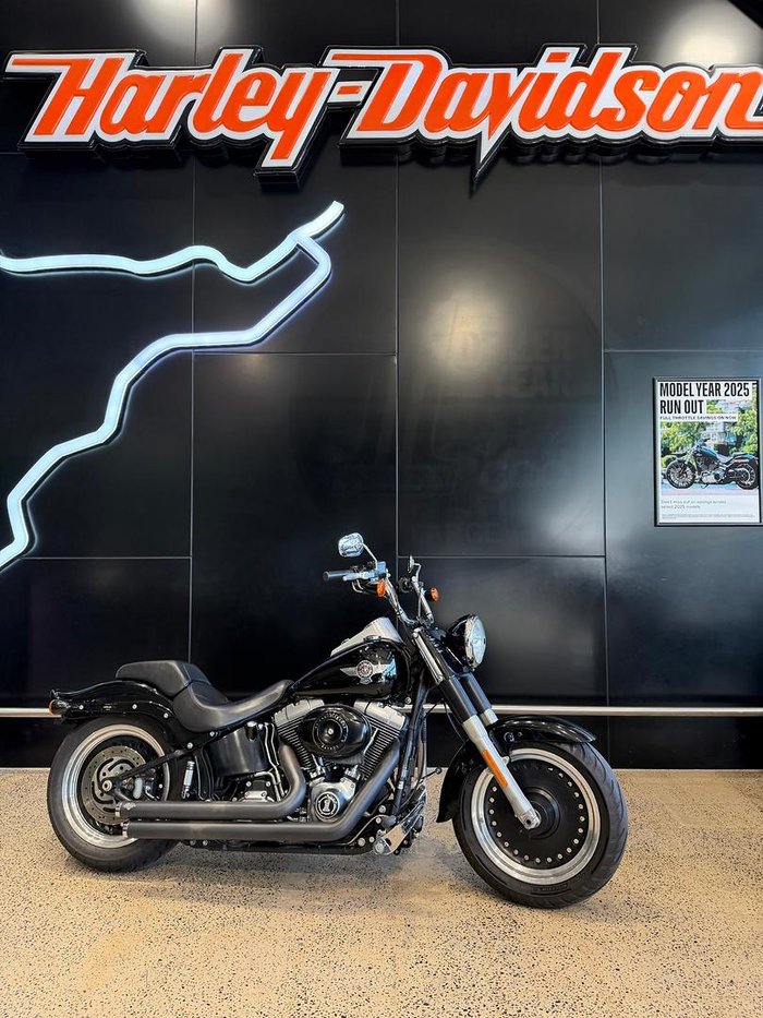 2011 Harley-Davidson Fat Boy Lo 1584 (FLSTFB)